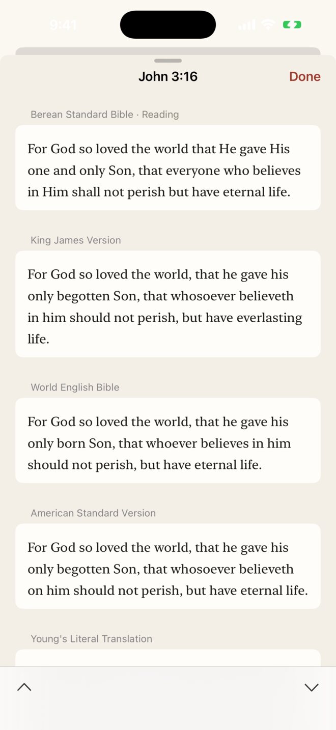 John 3:16 in several versions side by side